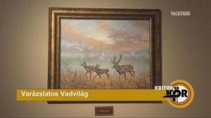 Varázslatos Vadvilág