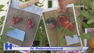 Híradó: IV. Palántafesztivál