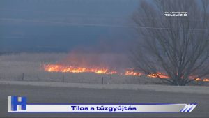 Híradó: Tilos a tűzgyújtás