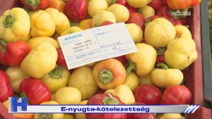 Híradó: E-nyugta-kötelezettség