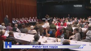 Híradó: Fehér bot napja