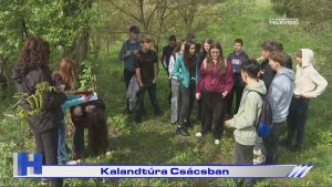 Híradó: Kalandtúra Csácsban