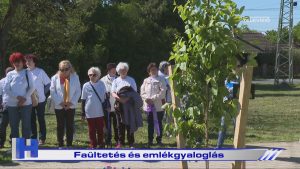 Híradó: Faültetés és emlékgyaloglás