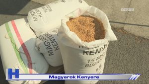 Híradó: Magyarok Kenyere