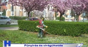 Híradó: Fűnyírás és virágültetés