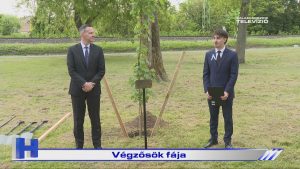 Híradó: Végzősök fája