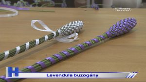 Híradó: Levendula buzogány