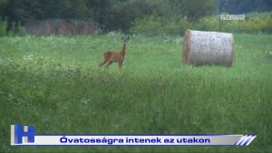 Híradó: Óvatosságra intenek az utakon