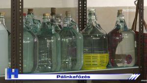 Híradó: Pálinkafőzés