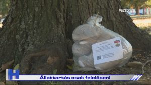 Híradó: Állattartás csak felelősen!