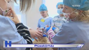 Híradó: Plüsskórház