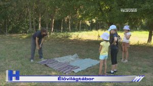 Híradó: Élővilágtábor