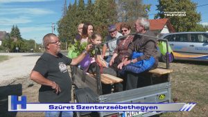 Híradó: Szüret Szenterzsébethegyen