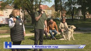Híradó: I. Állatbarát nap