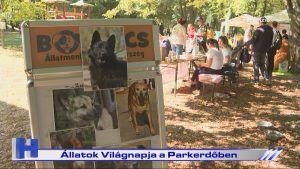 Híradó: Állatok Világnapja a Parkerdőben