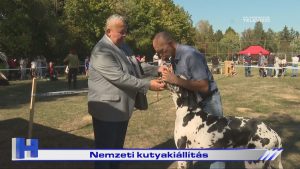 Híradó: Nemzeti kutyakiállítás